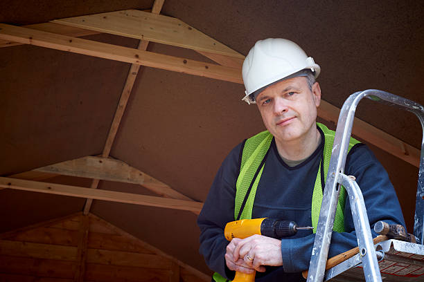 Best Basement Insulation  in Herculaneum, MO